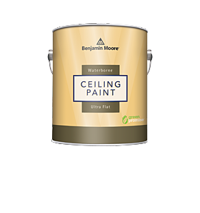 Ceiling Paint